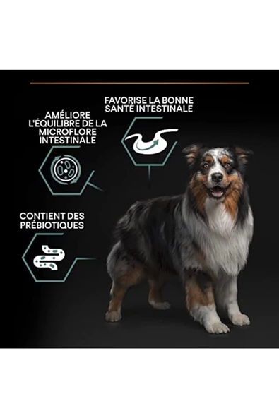 Purina Pro Plan Sensitive Digestion Adult Kuzu Etli Orta Irk Yetişkin Köpek Maması 14 Kg - 2