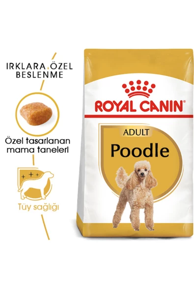 Poodle Yetişkin Köpek Maması 3kg