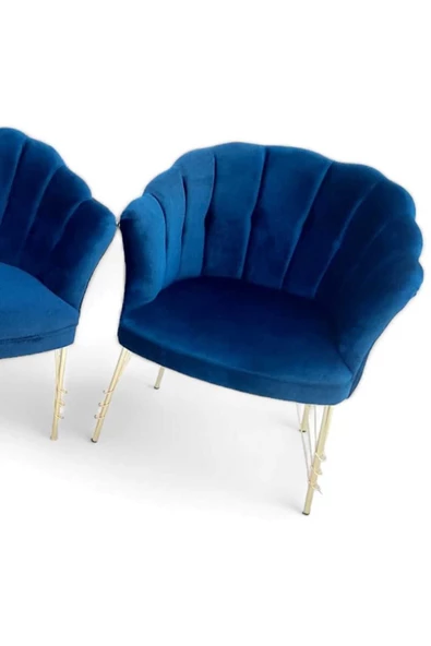 Aryans Home Mobilya Dekorasyon Büro Koltuğu Ofis Bekleme Koltuğu Balkon Koltuğu Çay Seti Koltuğu - 2