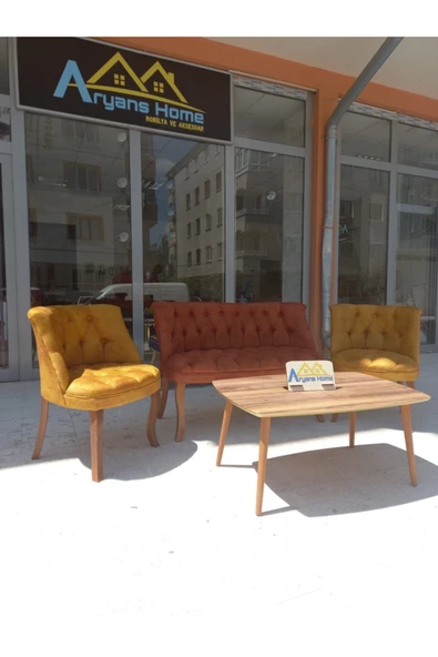 ARYANS HOME Ofisi, Balkon, Salon Ve Mutfak Koltuk Takımı - Çay Seti Koltuk Takımı - 3