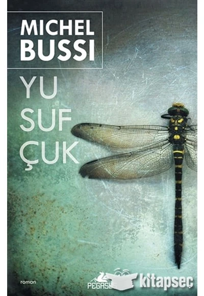 Yusufçuk Pegasus Yayınları