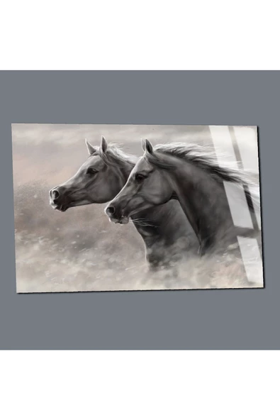Harikabirev HARİKABİREV|KIRILMAZ CAM (TEMPERLİ) SİYAH-BEYAZ ATLAR TABLOSU 03|TMTEKLİ - 3