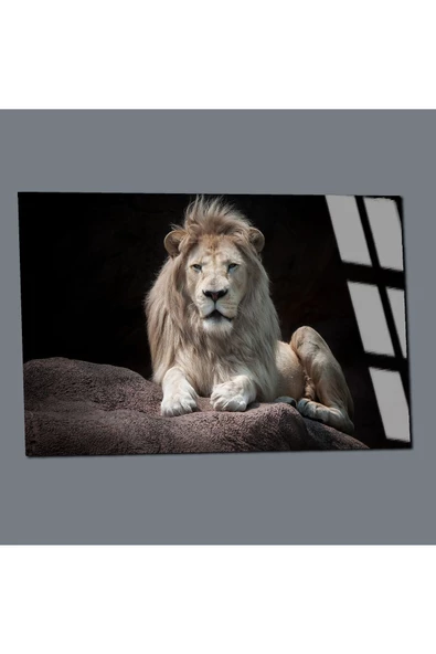 Harikabirev HARİKABİREV|KIRILMAZ CAM (TEMPERLİ) ASLAN TABLOSU 06 |TMTEKLİ - Resim 3