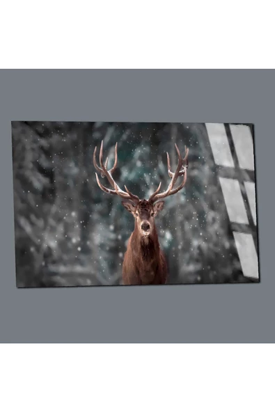 Harikabirev HARİKABİREV|KIRILMAZ CAM (TEMPERLİ) GEYİK TABLOSU 01 |TMTEKLİ - Resim 3