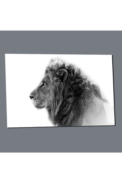 Harikabirev HARİKABİREV|KIRILMAZ CAM (TEMPERLİ) SİYAH-BEYAZ ASLAN TABLOSU 1|TMTEKLİ - Resim 3
