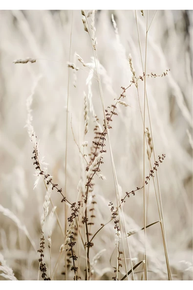 Harikabirev HARİKABİREV|SOFT BEJ BEYAZ PÜSKÜLLÜ YAPRAK 2|ÇERÇEVELİ TEMPERLİ CAM TABLO TEKLİ DİKEY - Resim 2