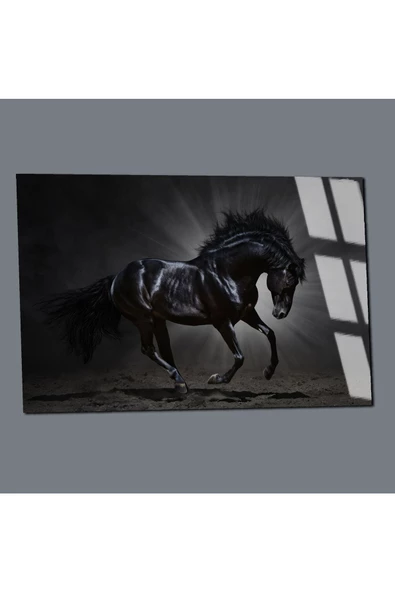 Harikabirev HARİKABİREV|KIRILMAZ CAM (TEMPERLİ) SİYAH AT TABLOSU 01 |TMTEKLİ - Resim 3
