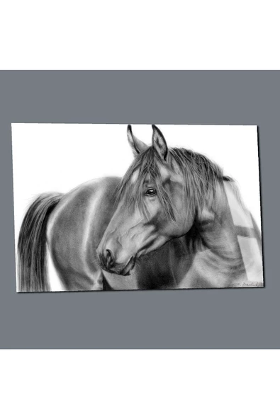 Harikabirev HARİKABİREV|KIRILMAZ CAM (TEMPERLİ) SİYAH AT TABLOSU 03 |TMTEKLİ - Resim 2