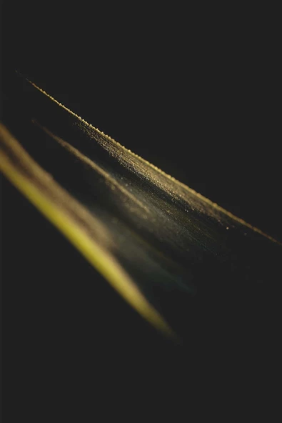 Harikabirev |siyah-yeşil-sarı Çiçek Kombini |pleksi Çerçeveli Mdf Tablo 3dky - Resim 2