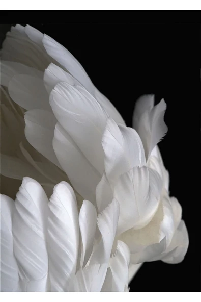 Harikabirev |mor-beyaz-siyah Çiçek Kombini |pleksi Çerçeveli Mdf Tablo 3dky - Resim 4