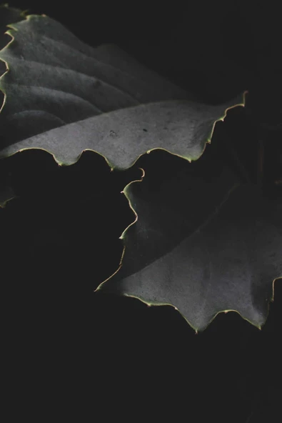 Harikabirev |siyah-yeşil-sarı Çiçek Kombini |pleksi Çerçeveli Mdf Tablo 3dky - Resim 4