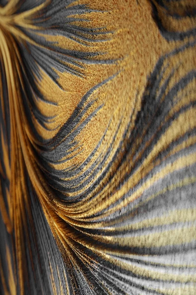 Harikabirev HARİKABİREV|SİYAH-GOLD RENK  ZEBRA YAPRAK VE SOYUT KOMBİN |ÇERÇEVELİ CAM TABLO 3LÜ DİKEY - Resim 2