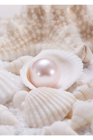 Harikabirev HARİKABİREV|BEYAZ-GOLD İNCİ KOMBİNİ 02 |ÇERÇEVELİ CAM TABLO  2Lİ DİKEY - Resim 3