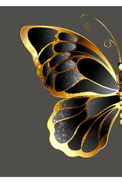 Harikabirev HARİKABİREV|GOLD-SİYAH ÇİÇEKLİ KELEBEK KOMBİNİ |ÇERÇEVELİ CAM TABLO  2Lİ DİKEY - Resim 2