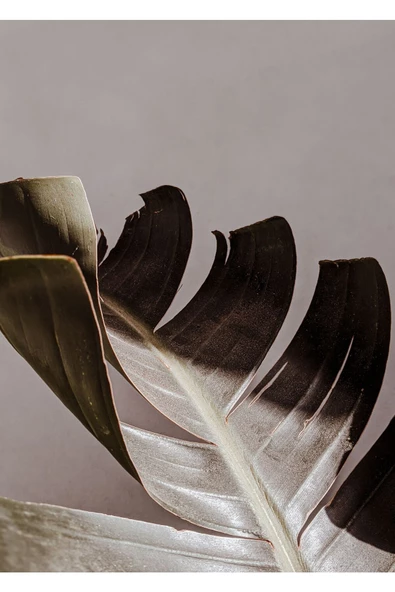 Harikabirev HARİKABİREV|YEŞİL SOFT YAPRAK KOMBİNİ |ÇERÇEVELİ CAM TABLO  3LÜ DİKEY - Resim 2