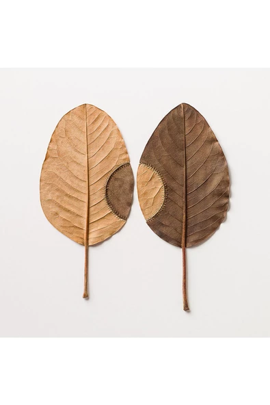 Harikabirev HARİKABİREV|KÜTÜK VE SONBAHAR YAPRAKLARI KOMBİNİ 1 |ÇERÇEVELİ CAM TABLO  2Lİ DİKEY - Resim 2