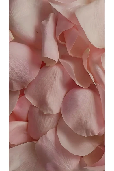 Harikabirev HARİKABİREV|GÜL KURUSU ÇİÇEK KOMBİN 01 |ÇERÇEVELİ CAM TABLO  3LÜ DİKEY - Resim 4