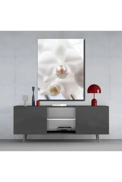 Harikabirev HARİKABİREV|KIRILMAZ CAM (TEMPERLİ) BEYAZ ÇİÇEK TABLOSU 06 |TMTEKLİ - Resim 3