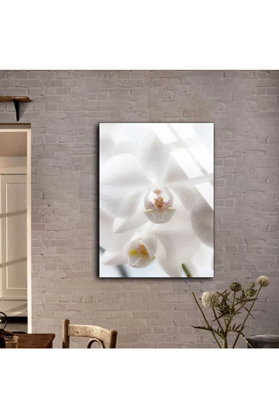 Harikabirev HARİKABİREV|KIRILMAZ CAM (TEMPERLİ) BEYAZ ÇİÇEK TABLOSU 06 |TMTEKLİ - Resim 2