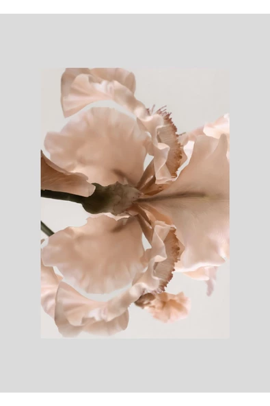 Harikabirev HARİKABİREV|SEVİLEN SOFT ÇİÇEK YAPRAK KOMBİNİ|ÇERÇEVELİ CAM TABLO  2Lİ DİKEY - Resim 3