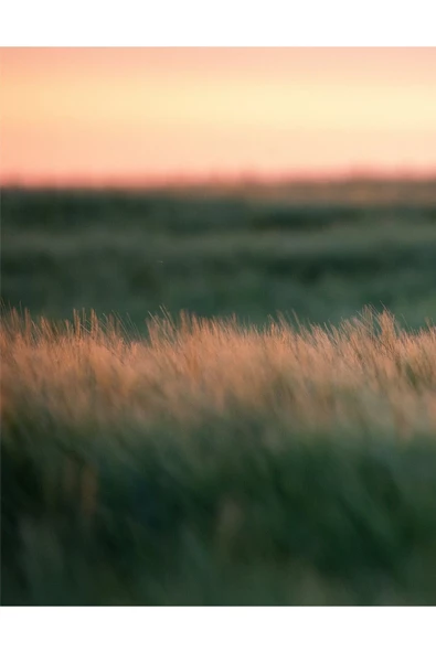 Harikabirev HARİKABİREV|KAHVERENGİ TONLAR SOFT BİTKİ KOMBİNİ |ÇERÇEVELİ CAM TABLO  3LÜ DİKEY - Resim 2