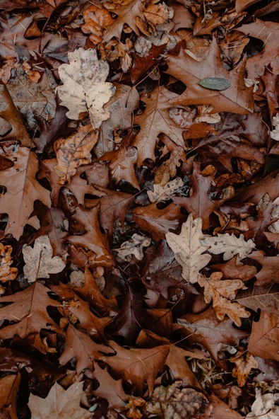 Harikabirev HARİKABİREV|KAHVERENGİ TONLAR SONBAHAR KOMBİNİ  |ÇERÇEVELİ CAM TABLO  3LÜ DİKEY - Resim 2