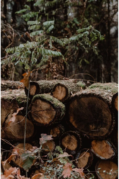 Harikabirev HARİKABİREV|KAHVERENGİ TONLAR SONBAHAR KOMBİNİ |ÇERÇEVELİ CAM TABLO 3LÜ DİKEY - 3