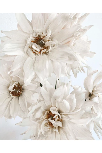 Harikabirev HARİKABİREV|BEYAZ ÇİÇEKLER KOMBİNİ 01 |ÇERÇEVELİ CAM TABLO  3LÜ DİKEY - Resim 2