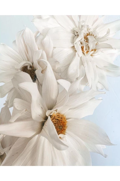 Harikabirev HARİKABİREV|BEYAZ ÇİÇEKLER KOMBİNİ 01 |ÇERÇEVELİ CAM TABLO  3LÜ DİKEY - Resim 4