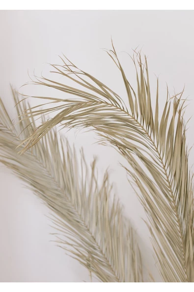 Harikabirev HARİKABİREV|BEYAZ-GRİ SOFT ÇİÇEKLER KOMBİNİ |ÇERÇEVELİ CAM TABLO  3LÜ DİKEY - Resim 4