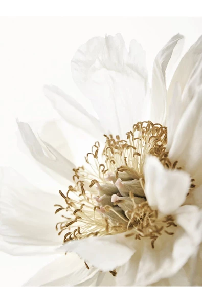 Harikabirev HARİKABİREV|GOLD-BEYAZ YAPRAK ÇİÇEK KOMBİNİ 01 |ÇERÇEVELİ CAM TABLO  2Lİ DİKEY - Resim 3