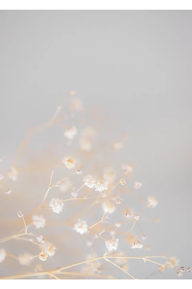 Harikabirev HARİKABİREV|BEYAZ-GRİ SOFT ÇİÇEKLER KOMBİNİ |ÇERÇEVELİ CAM TABLO  3LÜ DİKEY - Resim 2