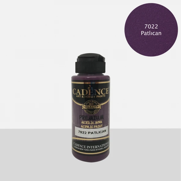 Premium 120ML(cc) 7022 Patlıcan