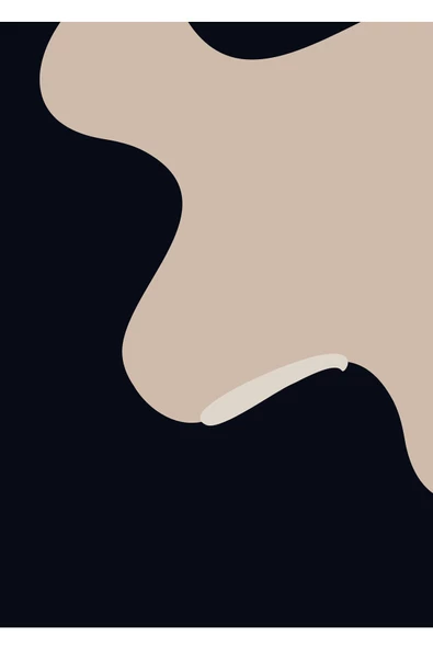 Harikabirev HARİKABİREV|SİYAH-BEJ SOYUT ABSTRACT KOMBİN 02 |ÇERÇEVELİ CAM TABLO  2Lİ DİKEY - Resim 3