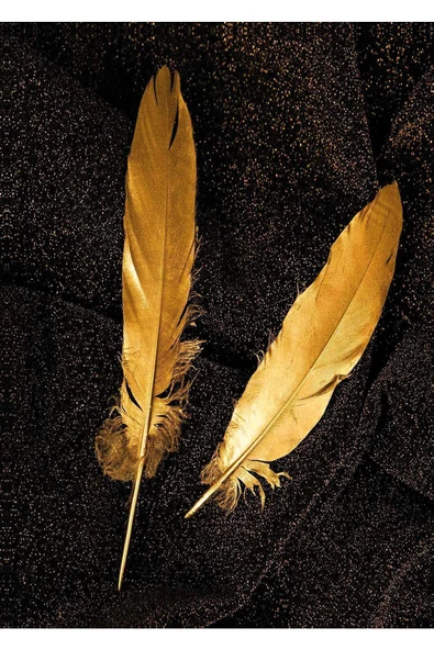 Harikabirev HARİKABİREV|GOLD-SİYAH  KOMBİNİ SETİ 2 |ÇERÇEVELİ SAATLİ CAM TABLO - Resim 2