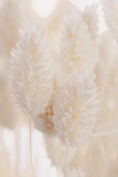 Harikabirev HARİKABİREV|KREM-BEYAZ ÇİÇEK KOMBİN MODELİ 01 |ÇERÇEVELİ SAATLİ CAM TABLO - Resim 4