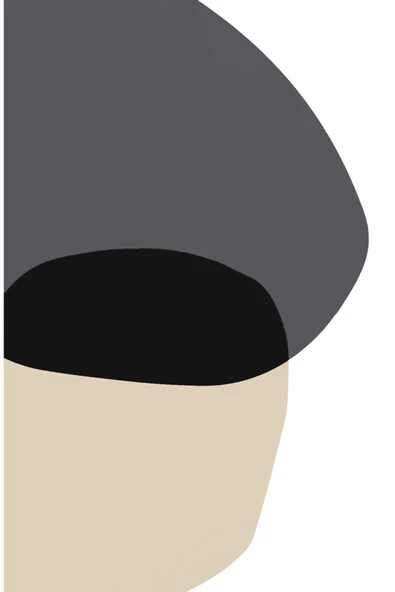 Harikabirev HARİKABİREV|ANTRASİT GRİ-KREM MODERN SOYUT VEKTÖREL 3 ÇALIŞMA |ÇERÇEVELİ CAM TABLO 3LÜ DİKEY - Resim 2