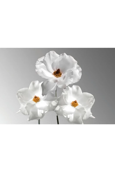 Harikabirev HARİKABİREV|KIRMIZI-BEYAZ ÇİÇEK KOMBİN MODELİ 01 |ÇERÇEVELİ SAATLİ CAM TABLO - Resim 3