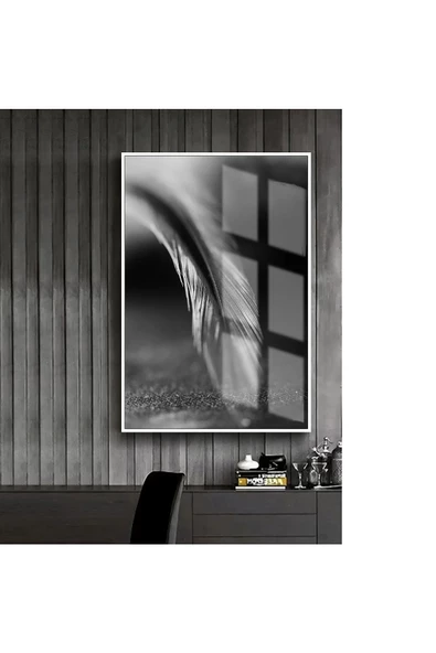 Harikabirev HARİKABİREV|GRİ-SİYAH-BEYAZ KUŞ TÜYÜ MODELİ 1 |ÇERÇEVELİ TEMPERLİ CAM TABLO TEKLİ DİKEY ürün görseli