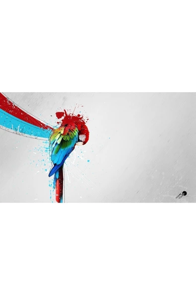 Harikabirev Hari?kabi?rev|kirmizi-yeşi?l-mavi? Kuş Desenli? Tablo |tekli? Çerçevesi?z Yatay Kanvas Tablo - Resim 3