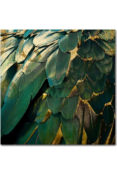 Harikabirev HARİKABİREV|YEŞİL-GOLD KUŞ TÜYÜ DESENLİ MODEL |ÇERÇEVELİ TEMPERLİ CAM TABLO TEKLİ DİKEY - Resim 2