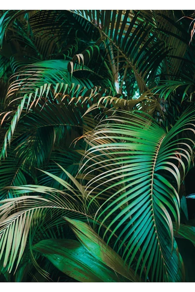 Harikabirev HARİKABİREV|YEŞİL PALMİYE YAPRAKLI MODEL |ÇERÇEVELİ TEMPERLİ CAM TABLO TEKLİ DİKEY - Resim 3