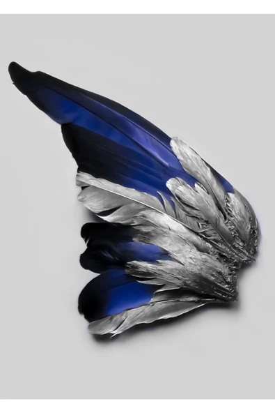 Harikabirev HARİKABİREV|LACİVERT-GÜMÜŞ TÜY VE KELEBEK KANAT KOMBİN |ÇERÇEVELİ CAM TABLO 3LÜ DİKEY - Resim 2