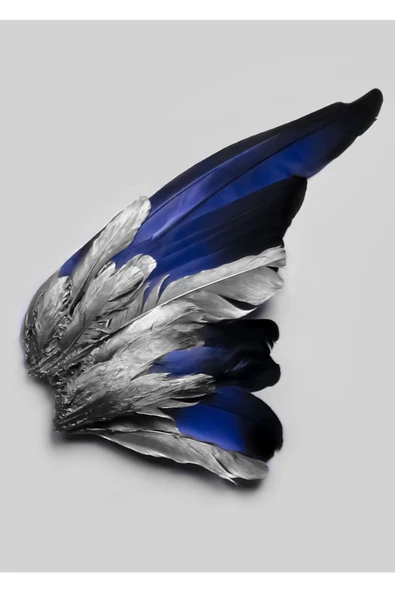 Harikabirev HARİKABİREV|LACİVERT-GÜMÜŞ TÜY VE KELEBEK KANAT KOMBİN |ÇERÇEVELİ CAM TABLO 3LÜ DİKEY - Resim 4