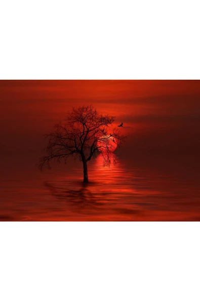 Harikabirev HARİKABİREV|SONBAHAR MANZARALI KIRMIZI RENK AĞAÇ MOTİFLİ 1|ÇERÇEVELİ TEMPERLİ CAM TABLO TEKLİ YATAY - Resim 2
