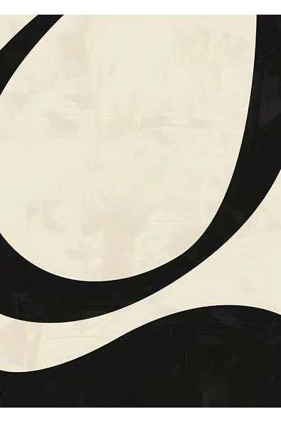 Harikabirev HARİKABİREV|GRİ-SİYAH-SPIRAL SOYUT ABSTRACT KOMBİN 01 |ÇERÇEVELİ TEMPERLİ CAM TABLO 3LÜ YATAY - Resim 3