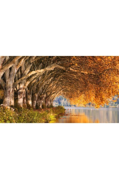 Harikabirev HARİKABİREV|SONBAHAR MANZARALI SARI GÖL KIYISI MODEL 1|ÇERÇEVELİ TEMPERLİ CAM TABLO TEKLİ YATAY - Resim 2