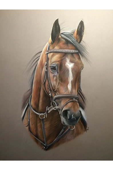 Harikabirev HARİKABİREV|KAHVERENGİ-KREM SEVİLEN AT TABLOSU 1 |ÇERÇEVELİ TEMPERLİ CAM TABLO TEKLİ DİKEY - Resim 2