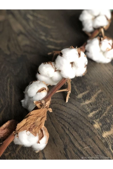 Harikabirev HARİKABİREV|NOSTALJİK MUM TÜY ÇİÇEK KOMBİNİ |ÇERÇEVELİ CAM TABLO 3LÜ DİKEY - Resim 4