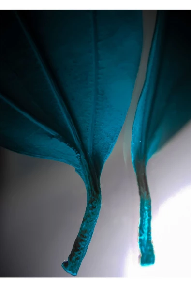 Harikabirev HARİKABİREV|MAVİ-YEŞİL YAPRAK SOYUT KOMBİNİ |ÇERÇEVELİ CAM TABLO 3LÜ DİKEY - Resim 3